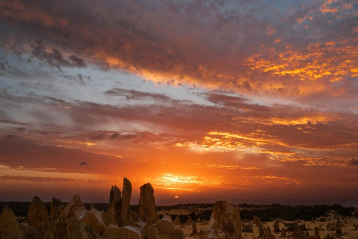 6a38d6581219f_725_2402-apt-pinnacles-sunset-3-resized