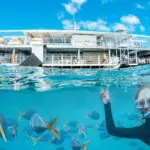 6a421d835c269_322_reefworld-2