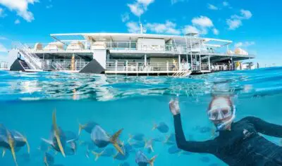 6a421d835c269_322_reefworld-2