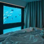 6a42422ad6435_322_webcwreefsuitesshootmay24225-e1779343616963