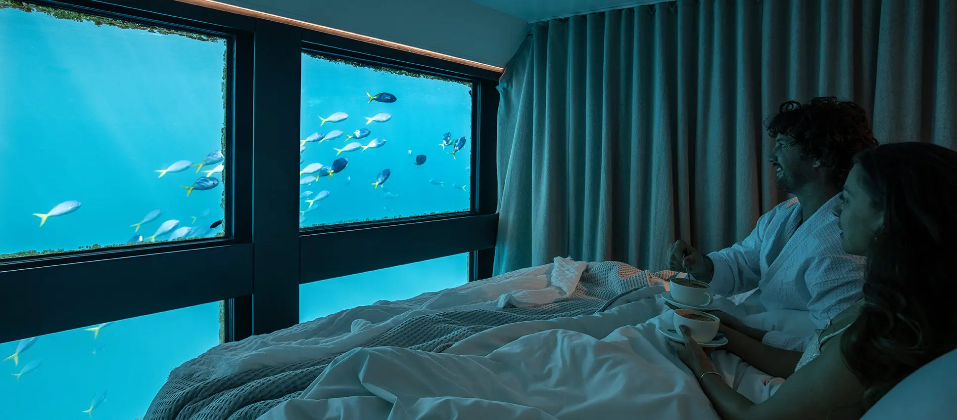 6a42422ad6435_322_webcwreefsuitesshootmay24225-e1779343616963