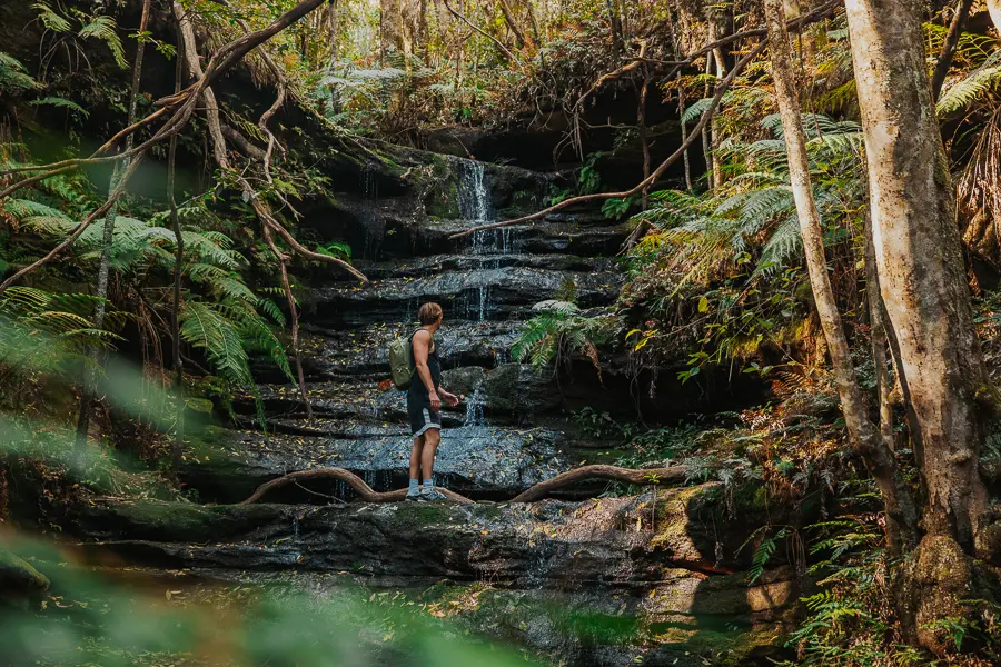 man admiring waterfall in blue mountains near sydney