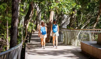 Backpackers walking along the boardwalk in Noosa's National Park.
