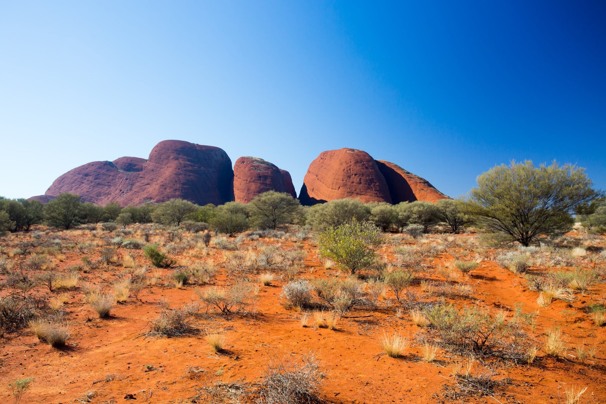 Image of Majestic red rock formations tower over an arid, grass-covered landscape dotted with shrubs beneath a vibrant, cloudless blue sky at Uluru