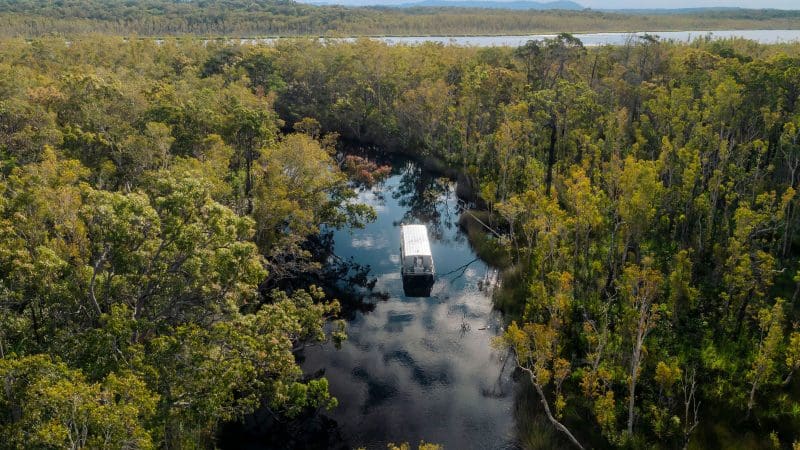 Discover a tranquil boat on Noosa Everglades’ narrow river amid lush forest, serene lake, and scenic hills—book your half-day cruise.