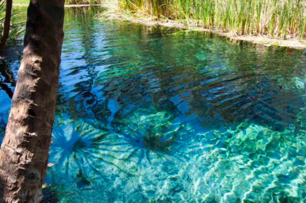 Florence Falls Florence Falls