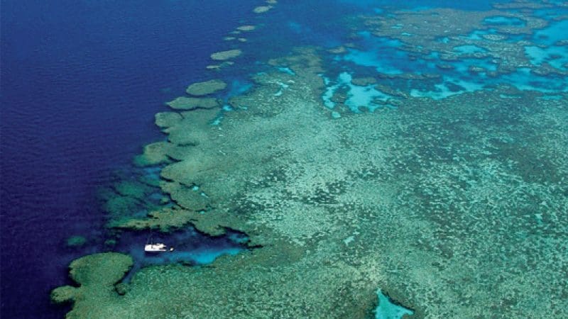 Aerial shot of Kiana Whitsunday Sailing boat on a 3 Day 2 Night tour by colourful coral reefs in crystal-clear blue ocean waters.