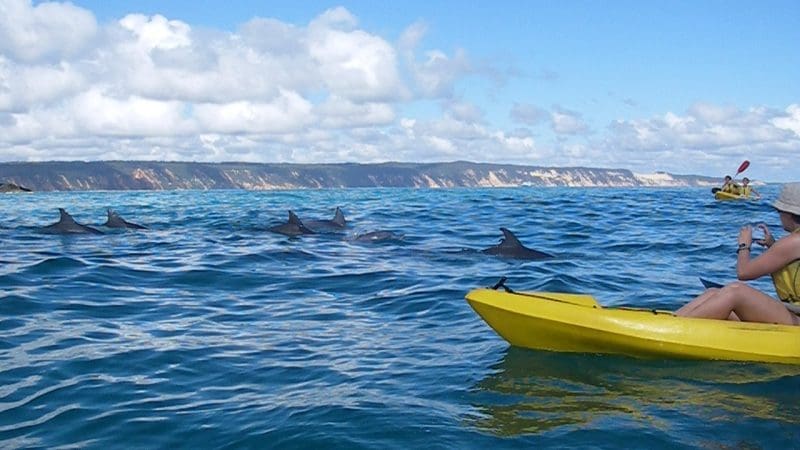 Experience thrilling dolphin kayaking as an adventurer paddles a yellow kayak across the vivid blue sea near scenic Rainbow Beach.