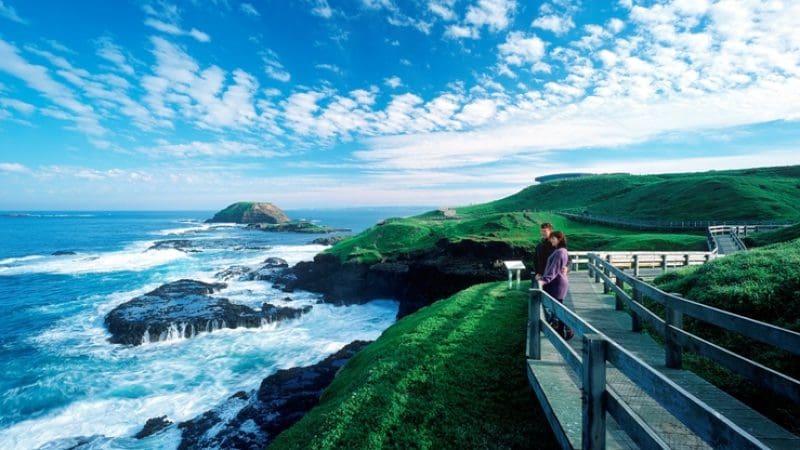 Two people on a scenic boardwalk admire stunning ocean views and lush hills during the Penguin Parade Half Day Tour at Phillip Island.