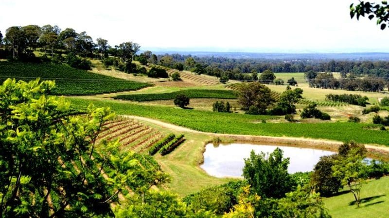 Lush green rolling hills, scenic vineyards, and a tranquil pond under sunny skies—ideal setting for a Hunter Valley Wine Tour day trip.
