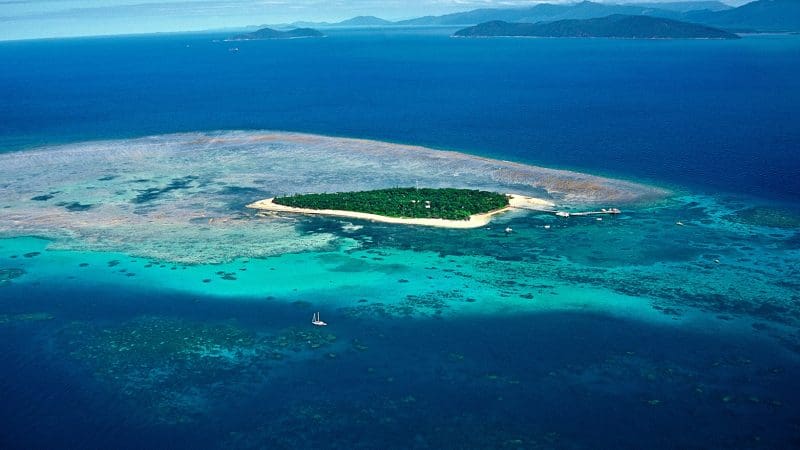 Experience a breathtaking aerial view of a lush green island, vibrant coral reefs, and turquoise waters on a Great Barrier Reef flight.