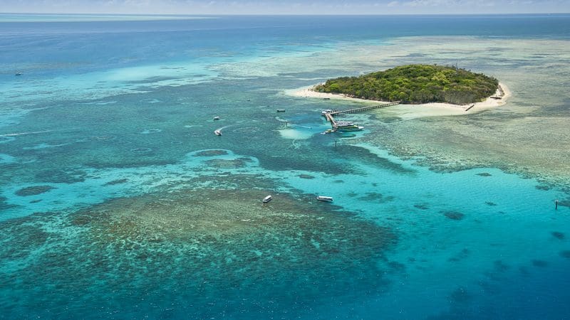 Discover Green Island’s tropical paradise: lush landscapes, vivid coral reefs, and crystal-clear turquoise waters on a 1pm half-day tour.