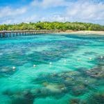 Experience crystal-clear turquoise waters, scenic long pier, and vibrant Green Island on the Full Day Green Island 11am Departure tour.