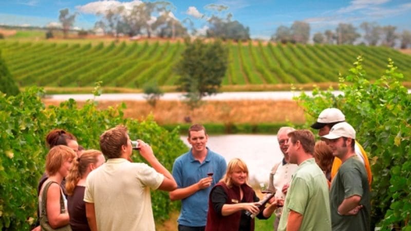 Visitors savour a premium Yarra Valley wine tasting, chatting beneath clear blue skies among scenic, vibrant vineyard rows.