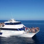 Luxury white reef tour boat glides on clear blue Great Barrier Reef waters under a sunny sky, offering unforgettable snorkelling adventures.