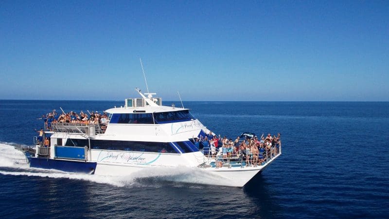 Luxury white reef tour boat glides on clear blue Great Barrier Reef waters under a sunny sky, offering unforgettable snorkelling adventures.