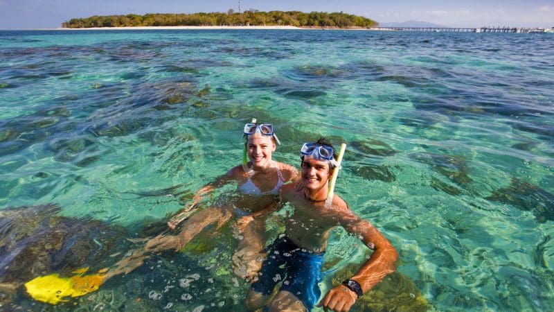 Snorkellers explore crystal-clear waters near lush Green Island on a popular Half-Day Tour, 1pm departure, top-rated tropical adventure.