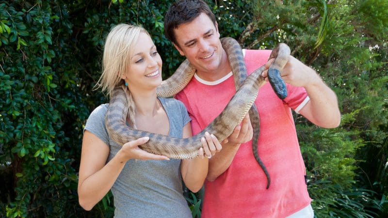 couple holding a snake with it around their necks
