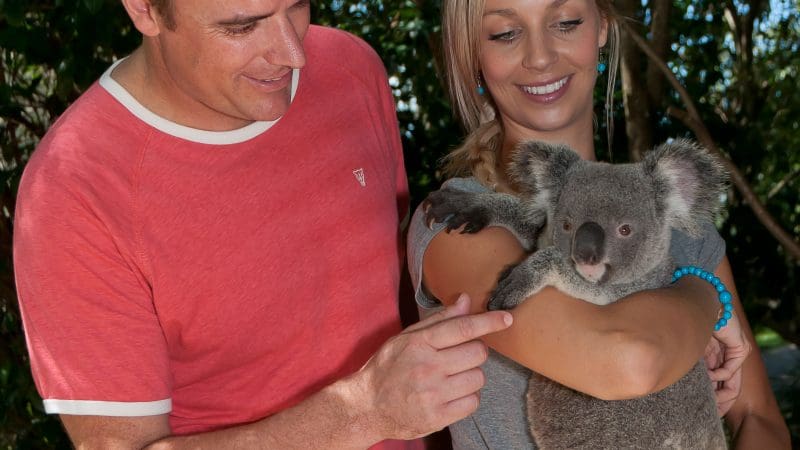 A smiling woman holds a koala as a man gently touches it, showcasing an unforgettable Australian wildlife encounter with authentic joy.