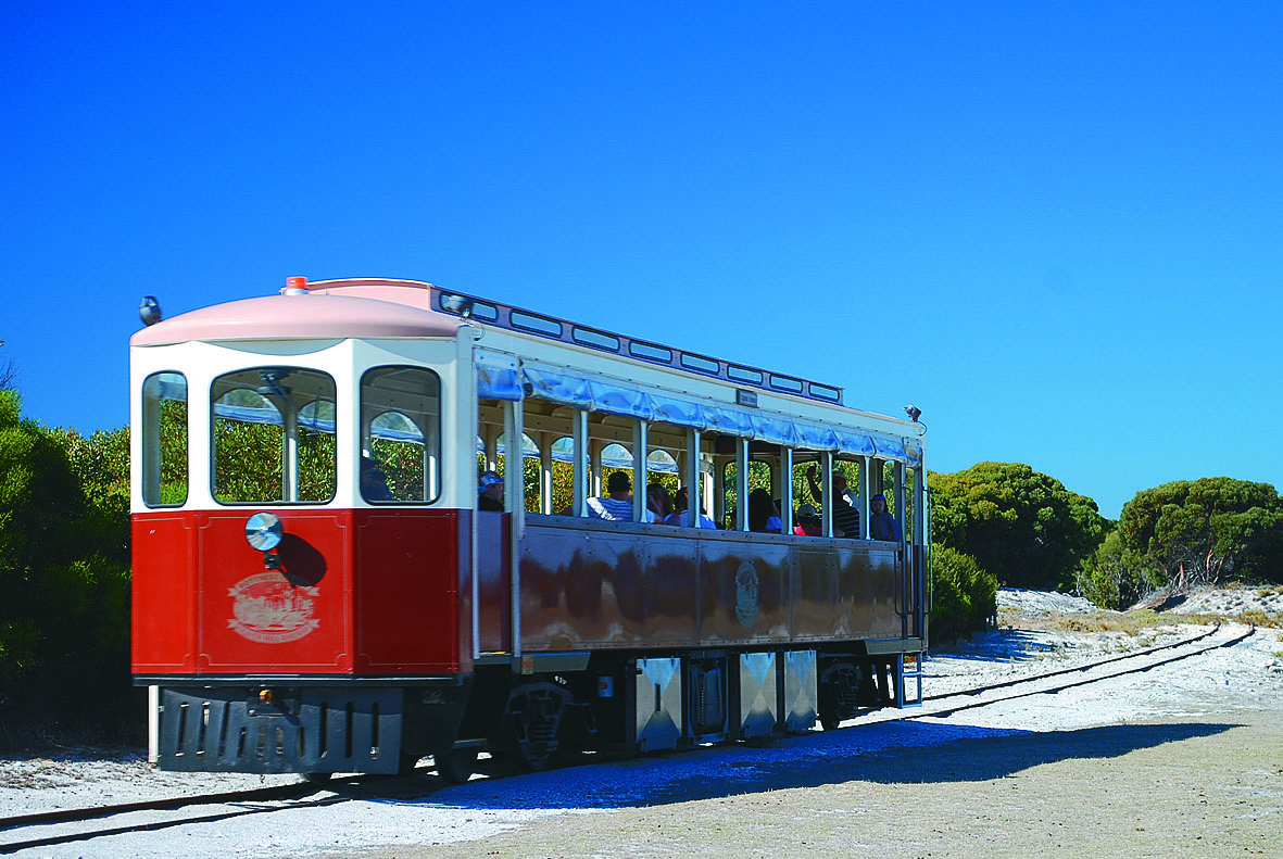 Red and white open-air tram on Rottnest Island’s sandy track, passing lush green bushes under blue sky—Oliver Hill Train Tunnel Tour.
