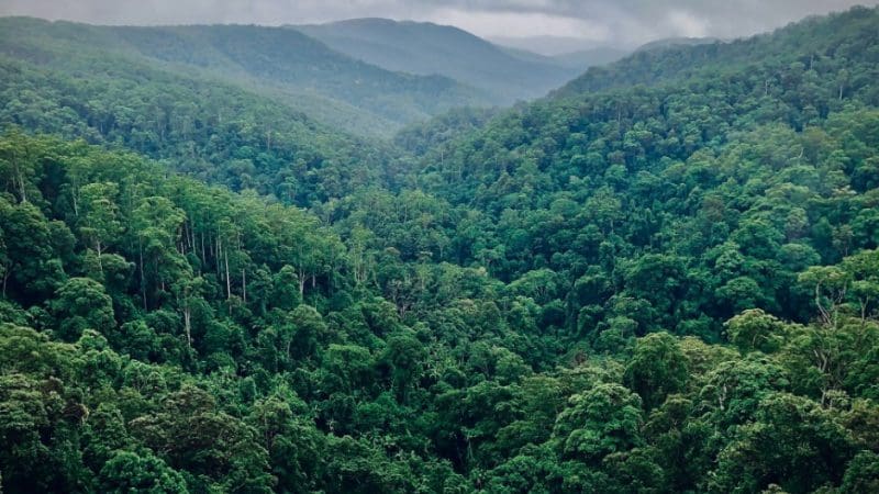 Dense rainforest covers undulating hills under dramatic clouds—discover the scenery on a 1 Day Cape Tribulation Tour with Active Tropics.