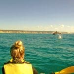 Experience unforgettable Dolphin Kayaking at Rainbow Beach as a kayaker in a yellow vest witnesses dolphins leaping in crystal-clear sea.