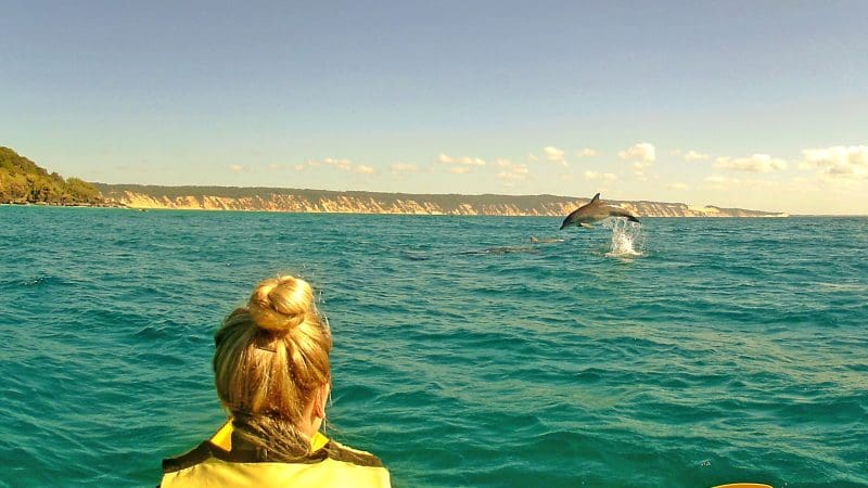 Experience unforgettable Dolphin Kayaking at Rainbow Beach as a kayaker in a yellow vest witnesses dolphins leaping in crystal-clear sea.