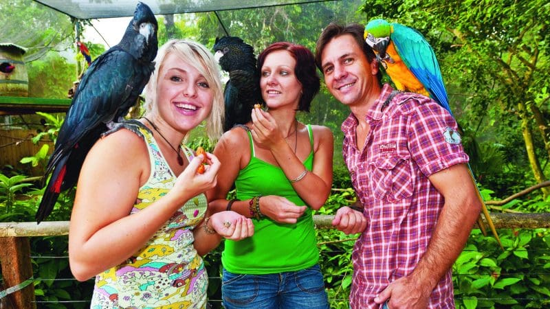 Three happy visitors interact with vibrant parrots during an unforgettable Great Australian Wildlife Experience in lush outdoor nature.