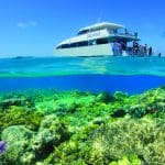 Snorkelling the Great Barrier Reef with Calypso Reef Charters: pristine blue waters, lush coral gardens, marine life adventure awaits.
