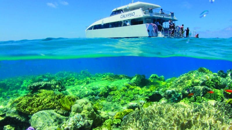 Snorkelling the Great Barrier Reef with Calypso Reef Charters: pristine blue waters, lush coral gardens, marine life adventure awaits.