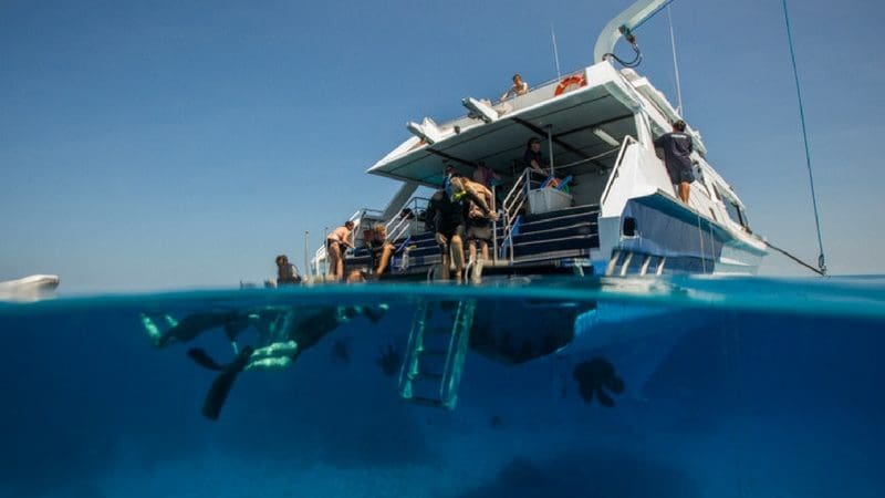 Travellers snorkel and swim beside a luxury Seaquest Outer Reef boat in the vibrant, crystal-clear waters of the Great Barrier Reef.