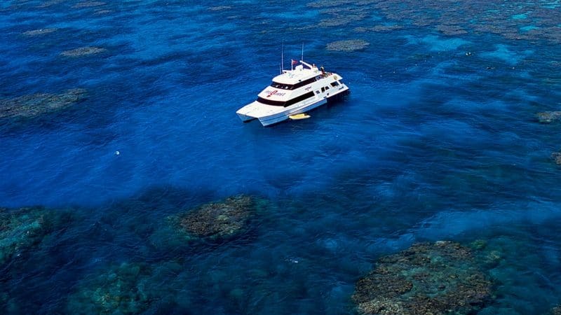 White boat cruises crystal-clear blue waters above vibrant coral reefs, ideal for a Seaquest Outer Reef Day Trip adventure.