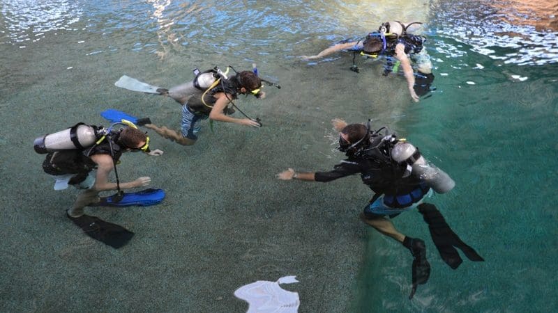 Four scuba divers train in rescue techniques for the 4 Day 1 Night Rescue Course Res1N in crystal-clear, shallow water.