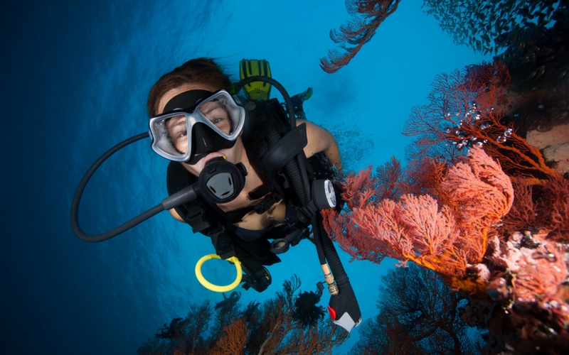 Certified scuba diver explores vibrant coral reef in crystal-clear blue water after completing PADI Open Water Course for beginners.