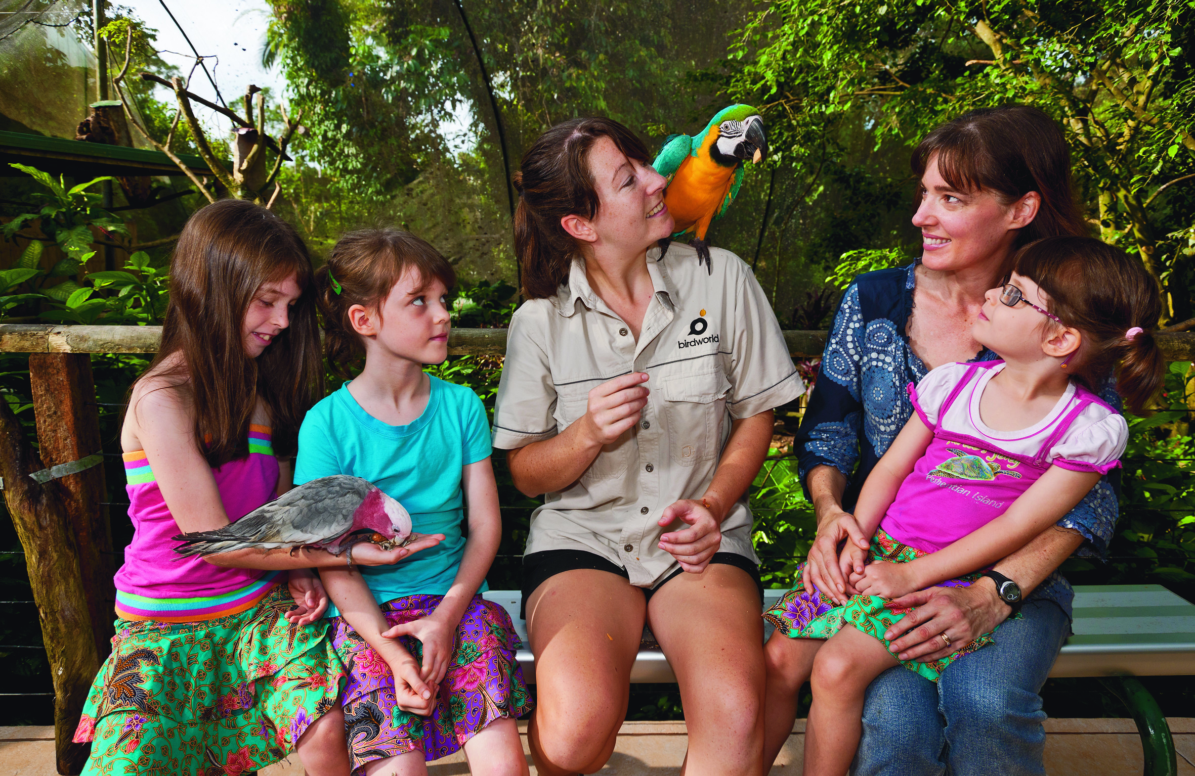 Six people—including four children and two women—sit with vibrant parrots on a bench in a lush, tropical rainforest environment.