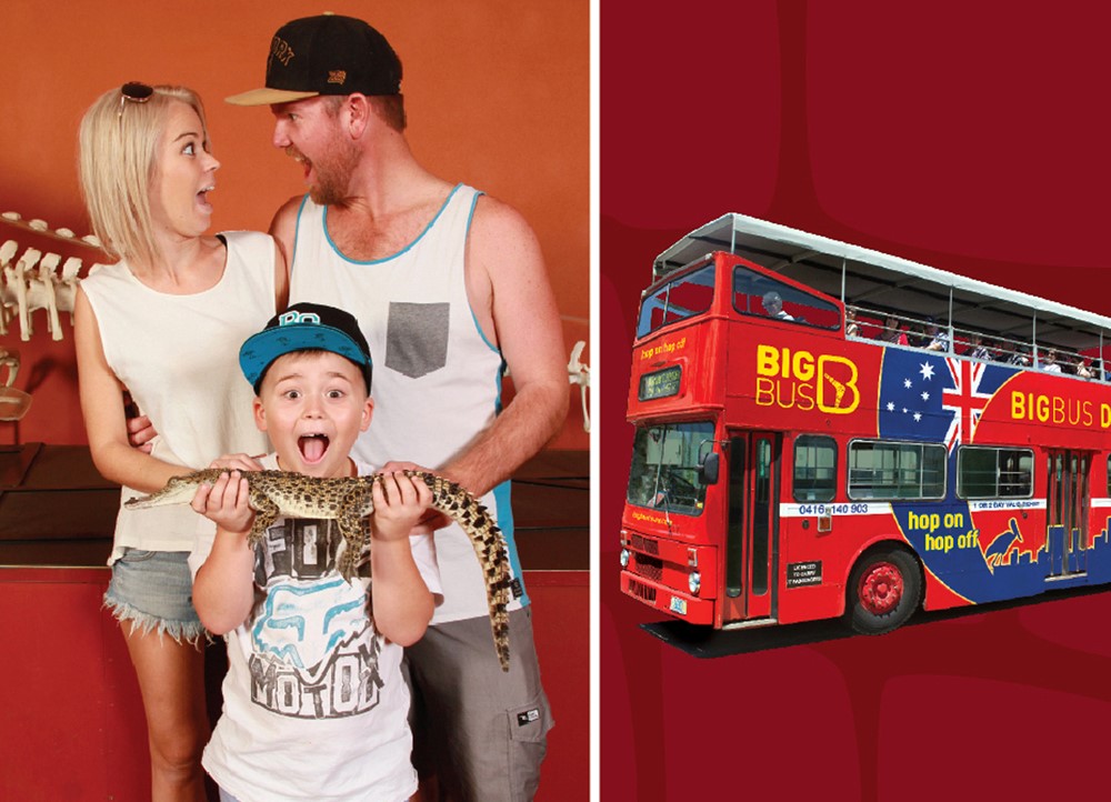 Surprised family with a snake beside a red Big Bus tour, featuring Crocosaurus Cove branding and Croc Explorer Ticket flags visible.