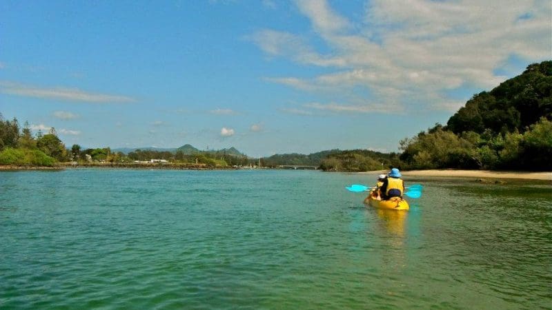 Kayaking duo paddles the scenic Brunswick River Nature Tour, framed by vibrant green trees and a stunning, clear blue sky above.
