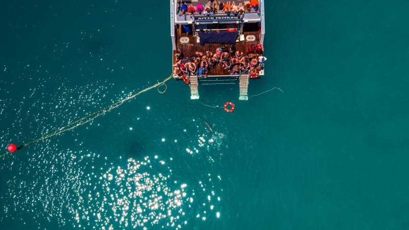 Ocean freedom boat