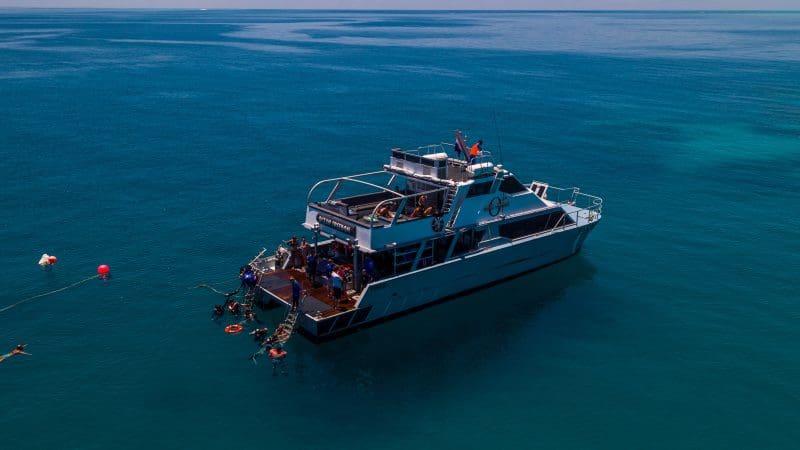 ocean freedom boat sailing