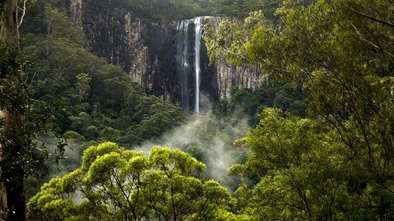 Experience the serene beauty of a tall waterfall flowing over rocky cliffs in a lush forest at Hinterland Magic Glow-worm Experience.
