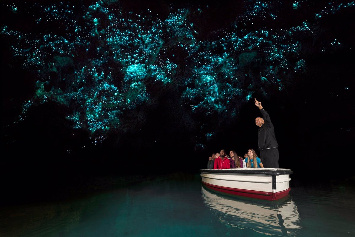 Tourists in a boat marvel at radiant blue glow-worms illuminating the dark Waitomo Caves, a top natural attraction in New Zealand.