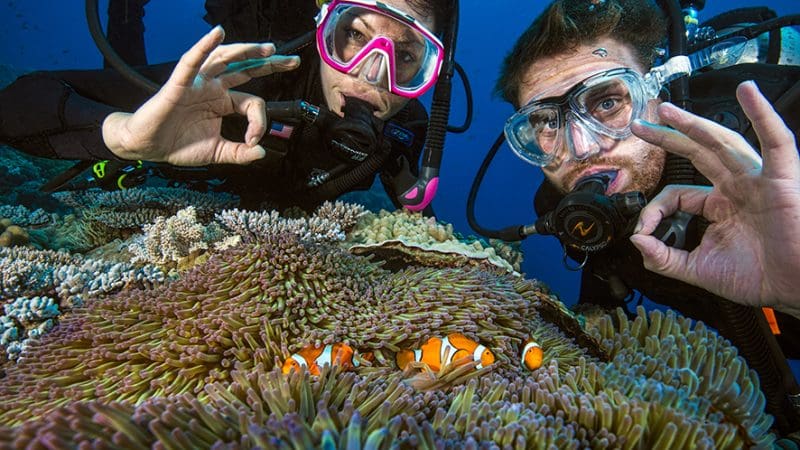 Two scuba divers giving OK signs next to vibrant coral reefs on a 4-day liveaboard learn to dive adventure, perfect for beginners.