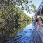 Travellers relax aboard the Noosa Everglades Serenity Cruise, drifting along a tranquil, tree-fringed river beneath a bright blue sky.