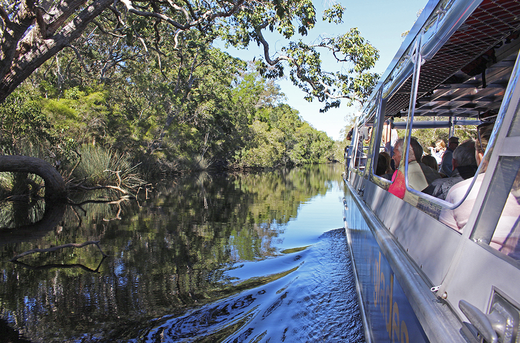 Travellers relax aboard the Noosa Everglades Serenity Cruise, drifting along a tranquil, tree-fringed river beneath a bright blue sky.