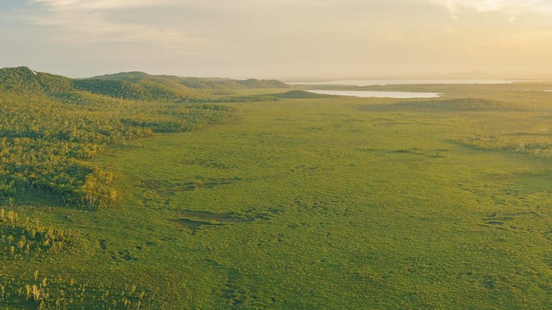 Breathtaking green landscape with lush scattered trees, rolling hills, and a winding river on a Noosa Everglades Serenity Cruise tour.