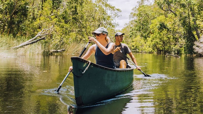 Two adventurers paddle a green canoe on the sunlit Noosa Everglades Explorer tour by Everglades Eco Safaris, surrounded by nature.