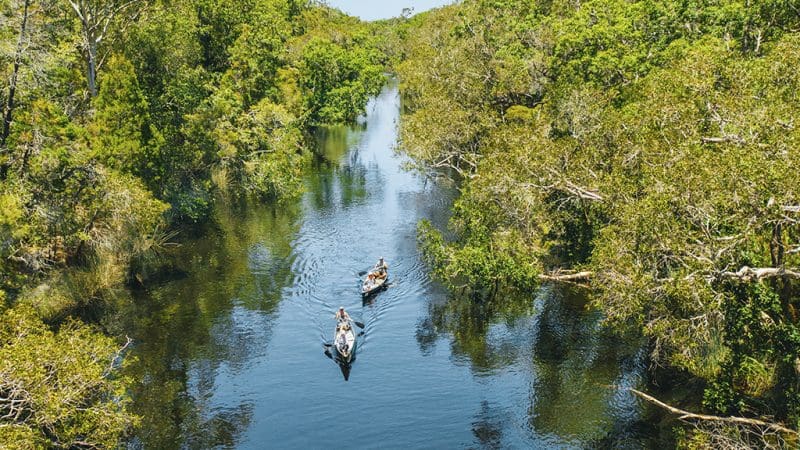 Two canoes glide along the scenic Noosa Everglades River under clear skies on a 1 Day Eco Safari tour, surrounded by lush nature.