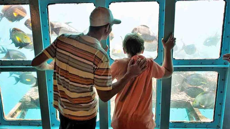 Two visitors admire colourful fish through large aquarium windows, envisioning a once-in-a-lifetime Outer Reef Fitzroy Island day tour.