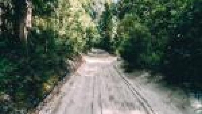 Scenic sandy dirt road flanked by lush green trees with dappled sunlight, like a Kgari Day Tour from Noosa—picturesque wilderness view.