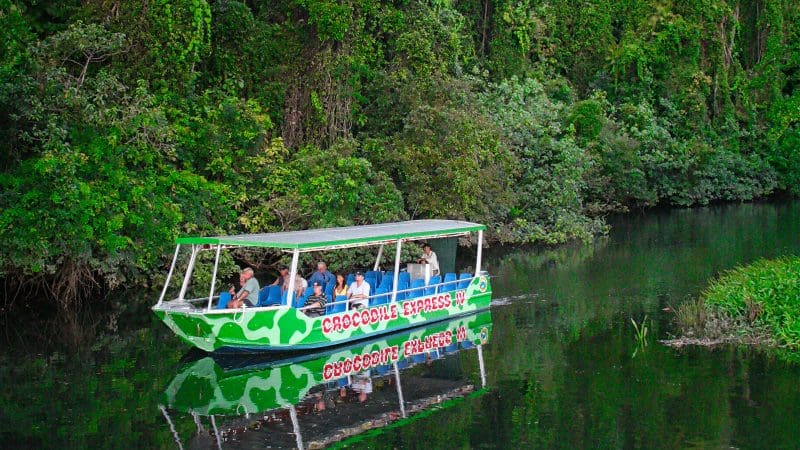 A vibrant green Crocodile Express boat sails on tranquil Daintree River waters during a private, exclusive Mossman eco tour experience.